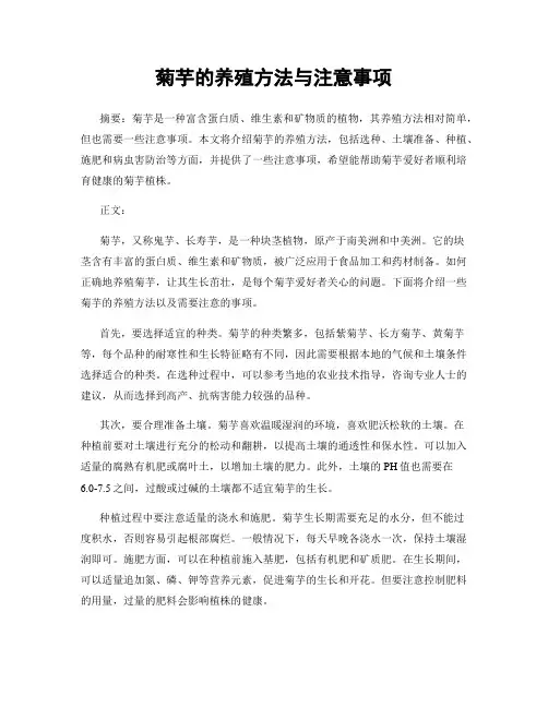 菊芋的养殖方法与注意事项