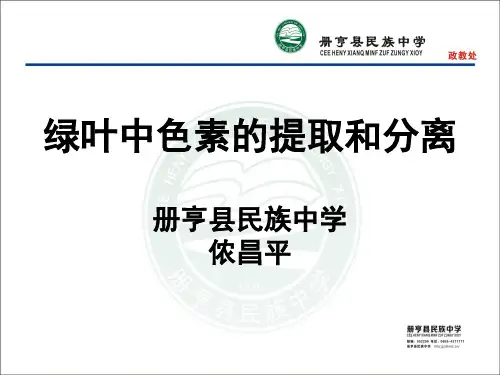 高中生物人教版绿叶中色素的提取和分离试验创新大赛课件