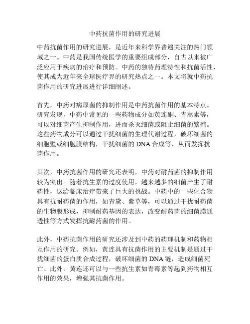 中药抗菌作用的研究进展