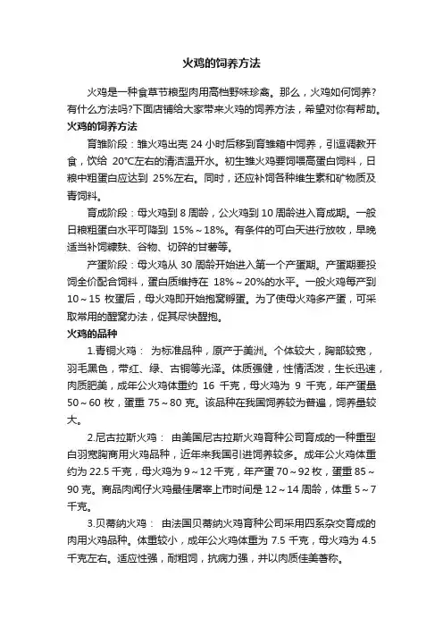 火鸡的饲养方法