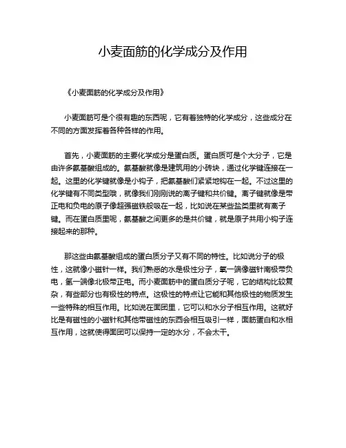 小麦面筋的化学成分及作用