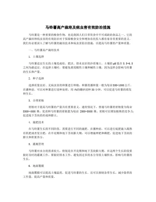 马铃薯高产栽培及病虫害有效防治措施