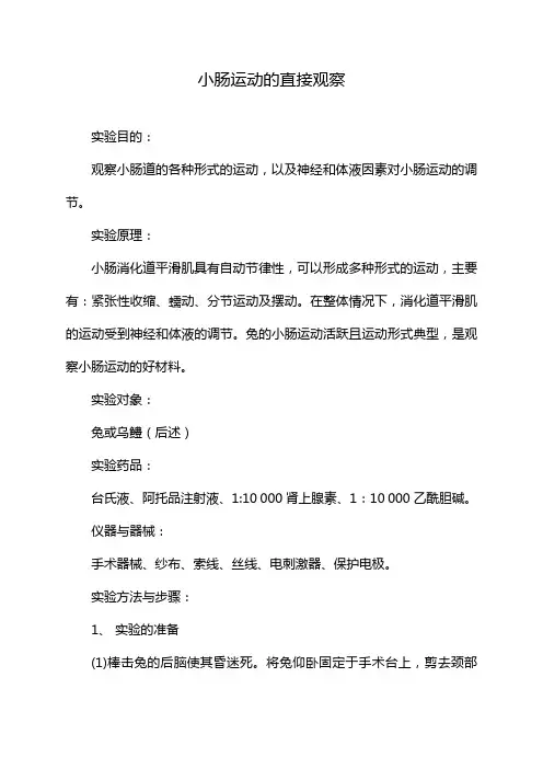 小肠运动的直接观察