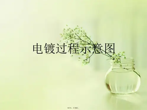 电镀过程示意图
