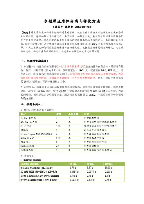 水稻原生质体分离与转化方法2014-01-20