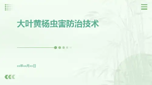 大叶黄杨虫害防治技术