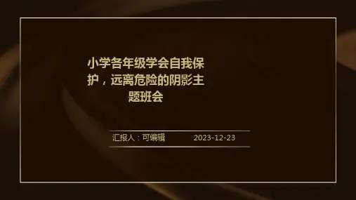小学各年级, 学会自我保护,远离危险的阴影,主题班会ppt