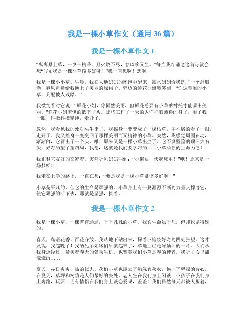 我是一棵小草作文(通用36篇)