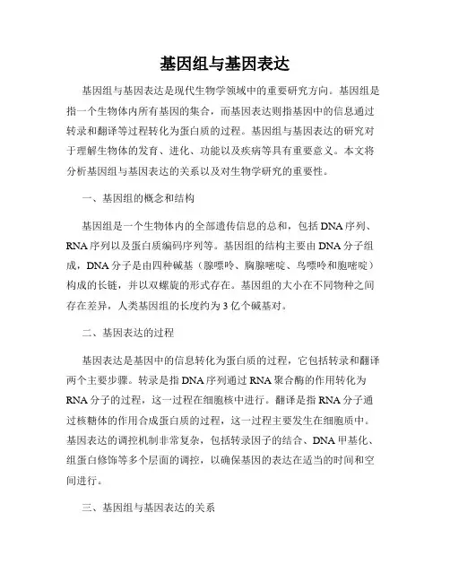 基因组与基因表达