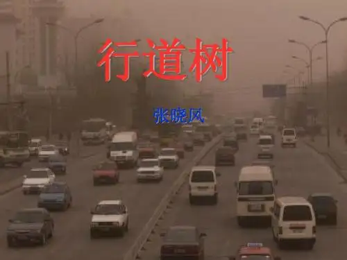 八年级上册9《行道树》课件(新疆专用)