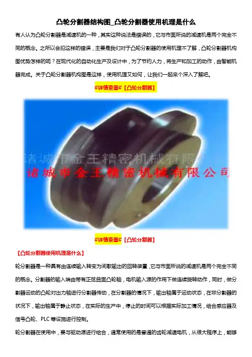凸轮分割器结构图_凸轮分割器使用机理是什么