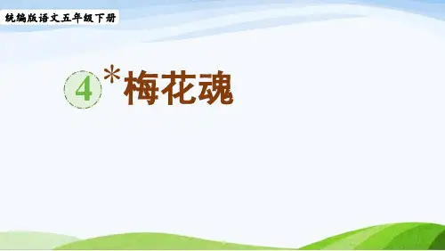 2022-2023部编版语文五年级上册《4梅花魂》课件