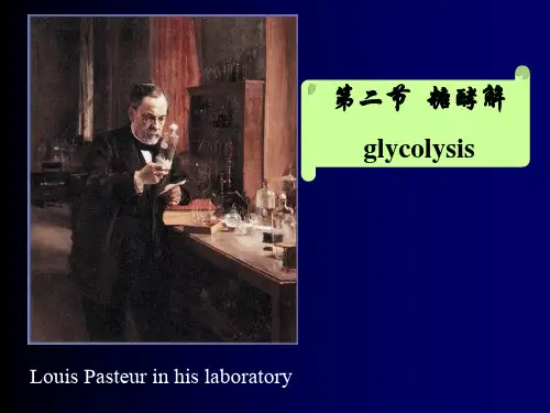 第二节糖酵解glycolysis-.ppt