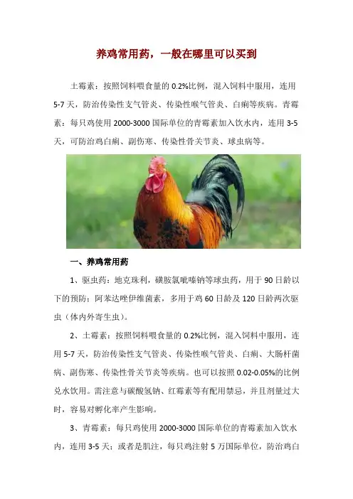 养鸡常用药,一般在哪里可以买到