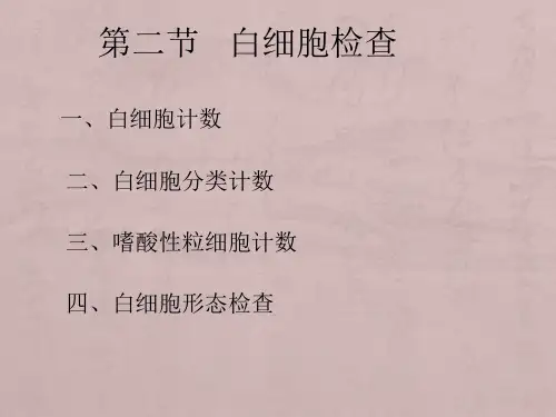 白细胞检查课件4