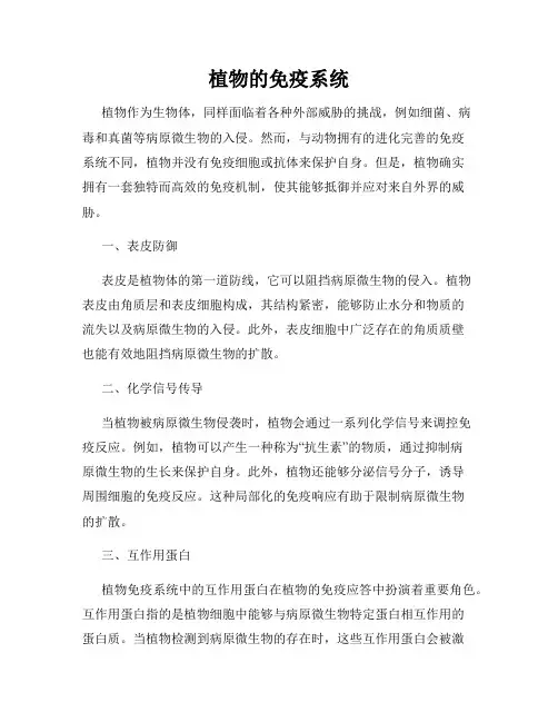 植物的免疫系统