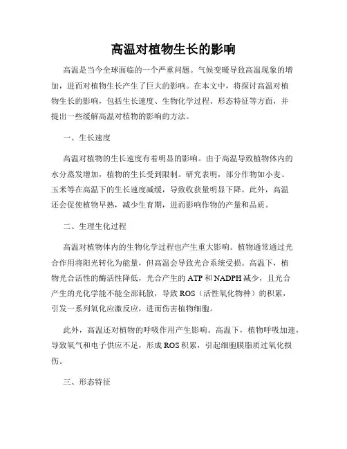 高温对植物生长的影响