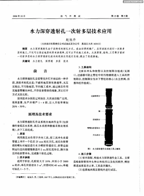 水力深穿透射孔一次射多层技术应用