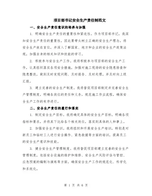 项目部书记安全生产责任制范文（二篇）