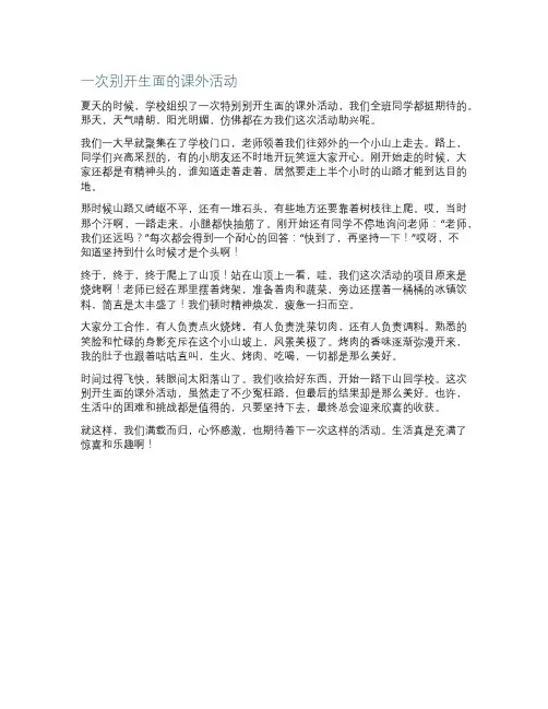 一次别开生面的课外活动作文