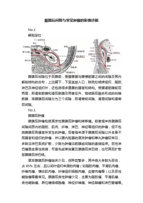 腹膜后间隙与常见肿瘤的影像诊断