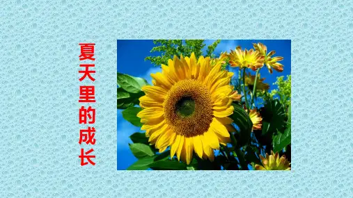 部编版六年级上册语文15课《夏天里的成长》PPT
