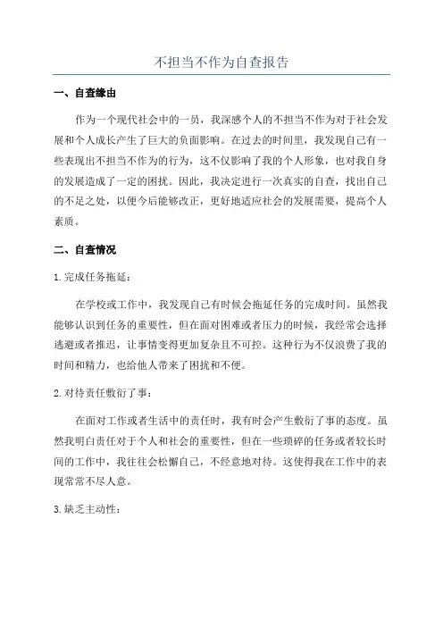 不担当不作为自查报告