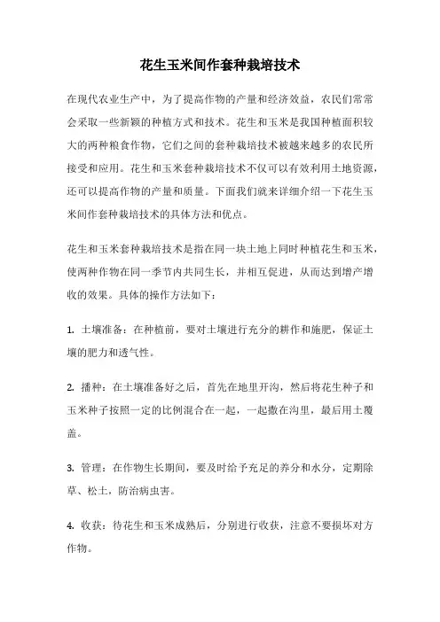 花生玉米间作套种栽培技术