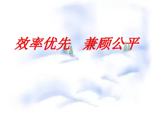 效率优先兼顾公平
