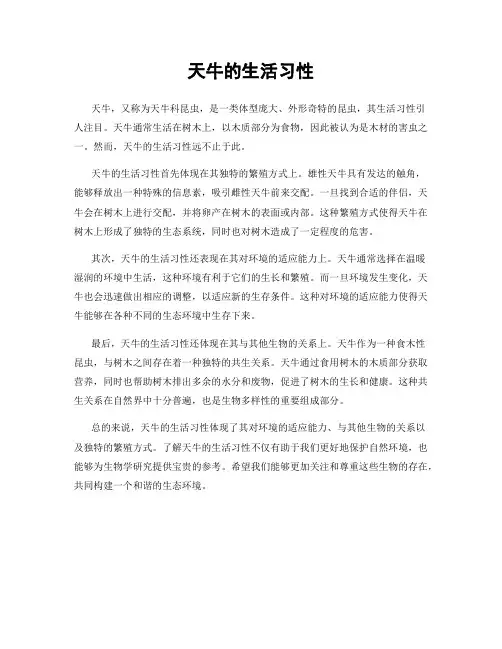 天牛的生活习性