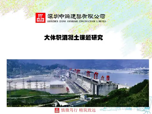大体积混凝土课题研究
