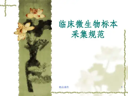 临床微生物标本采集规范ppt课件