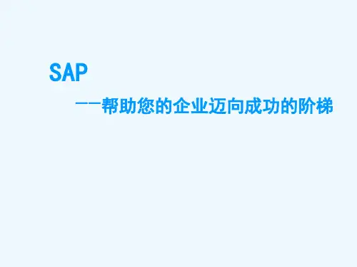 SAP介绍(详细版)全文