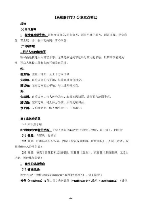 《系统解剖学》分章节期末考点、重点总结笔记