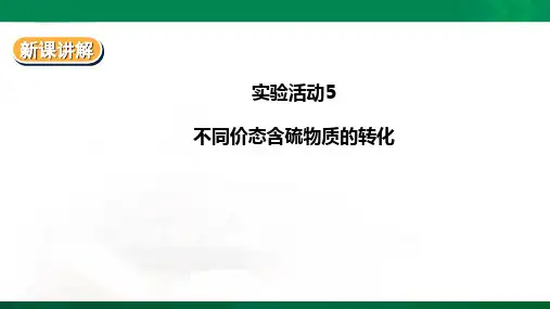 5.5实验活动5不同价态含硫物质的转化（ppt）