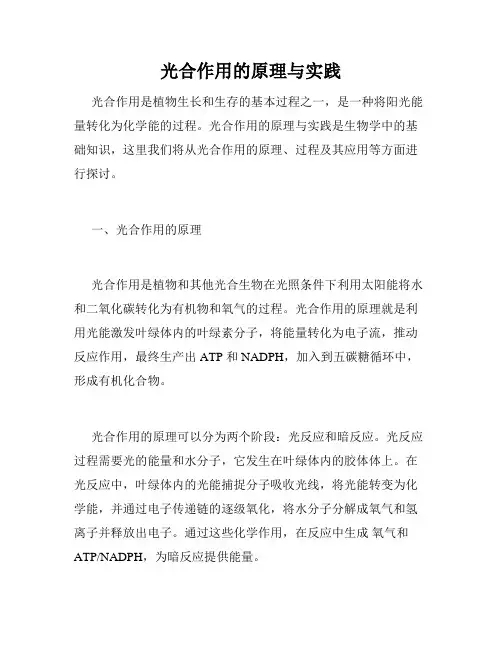 光合作用的原理与实践
