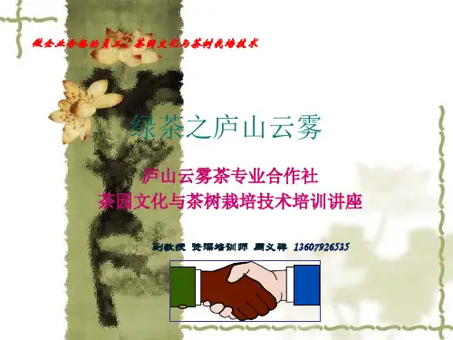 茶叶种植技术ppt