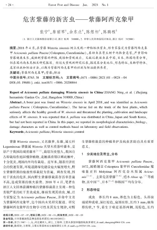 危害紫藤的新害虫——紫藤阿西克象甲