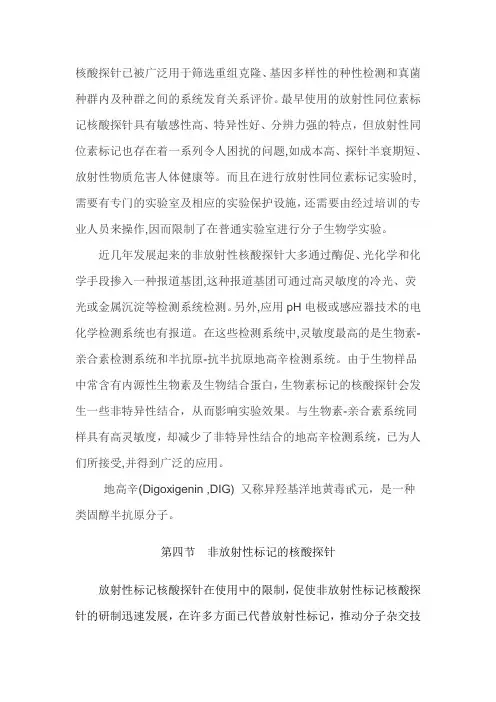 探针标记