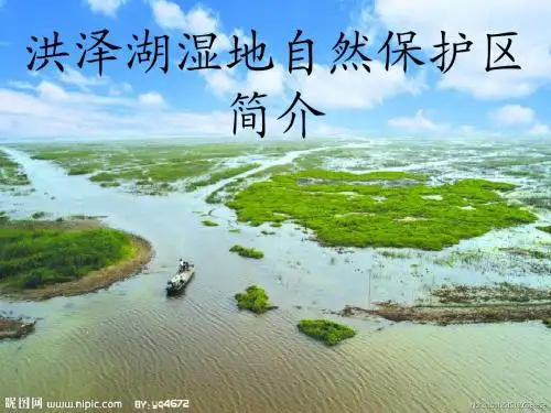 洪泽湖湿地自然保护宣传PPT