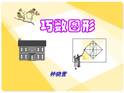 标准版巧数图形详解-小学奥数-44