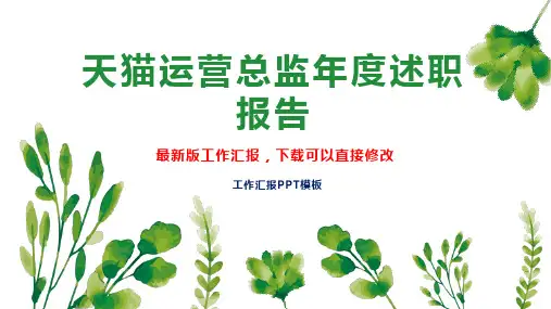 天猫运营总监年度述职报告工作总结工作计划PPT模板下载