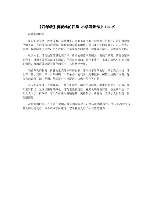 【四年级】荷花池的四季 小学写景作文400字