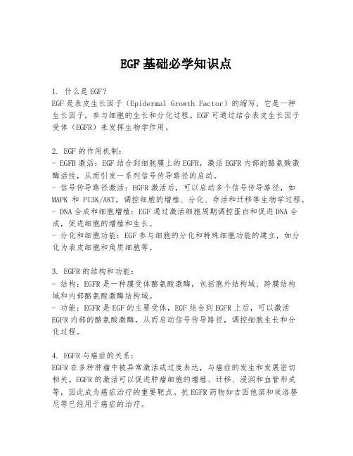 EGF基础必学知识点