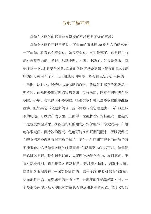 乌龟干燥环境