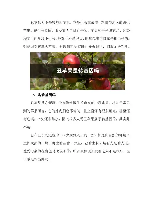 丑苹果是转基因吗,如何识别转基因苹果