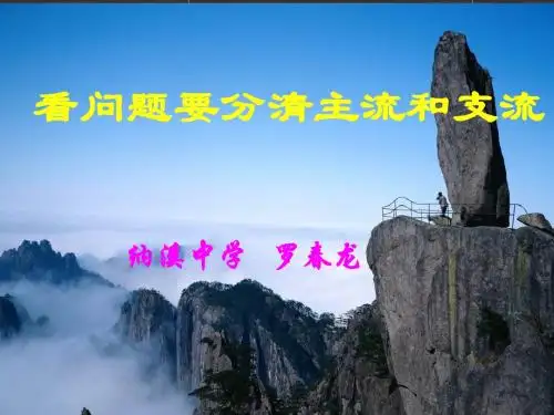 看问题要分清主流和支流3ppt