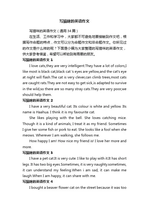 写猫咪的英语作文