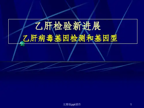 乙肝病毒基因检测和基因型ppt课件