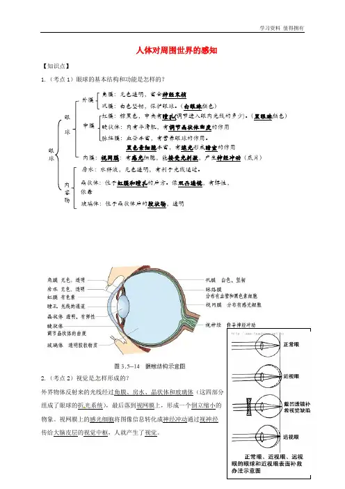 「精品」七年级生物下册第三单元第五章第四节人体对周围世界的感知知识点+巩固提高(新版)济南版